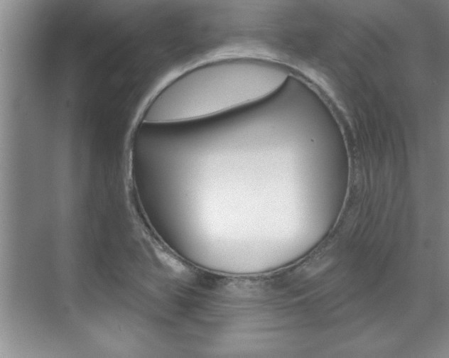 X0000073871366200608101056
