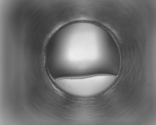 X0000073871367200608101056