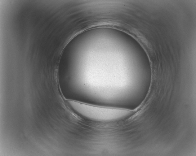 X0000073871369200608101056