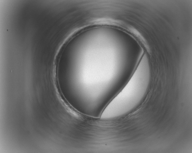 X0000073871376200608101056