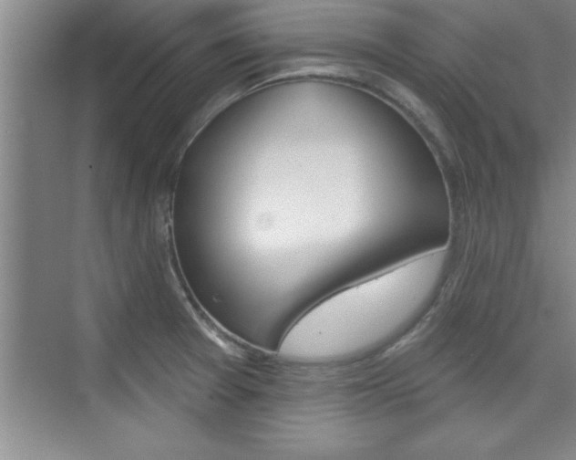 X0000073871377200608101056