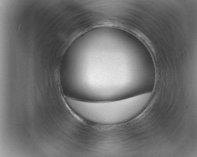 X0000073871385200608101055