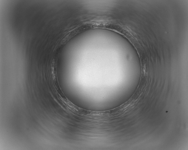 X0000073871396200608101055
