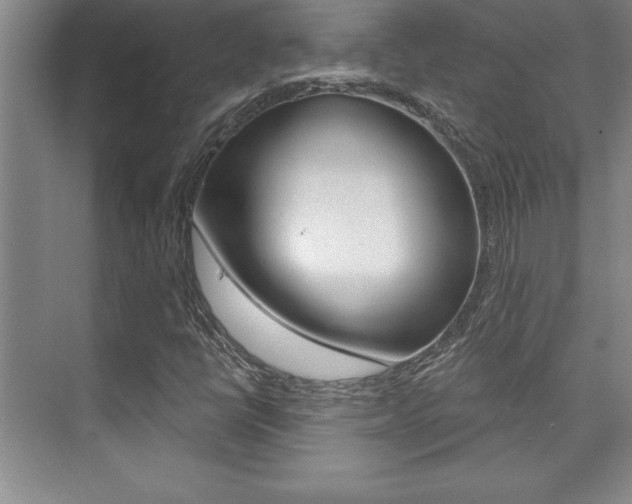 X0000073871398200608101055