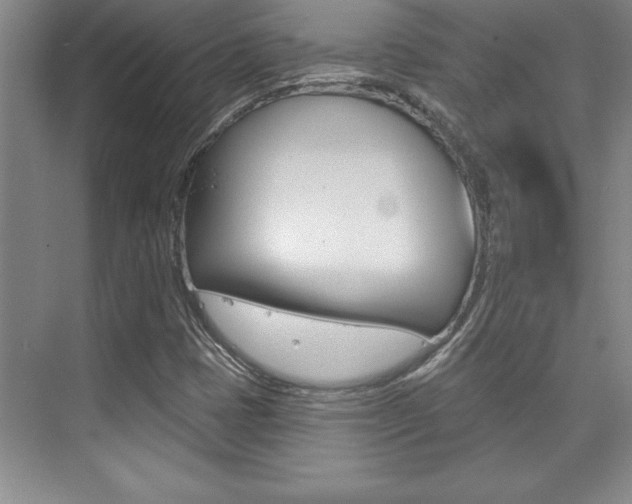 X0000073871401200608101055