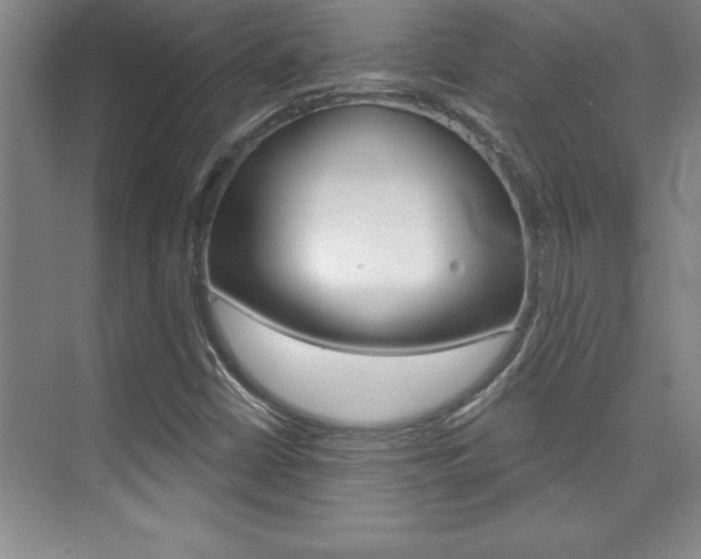 X0000073871402200608101055