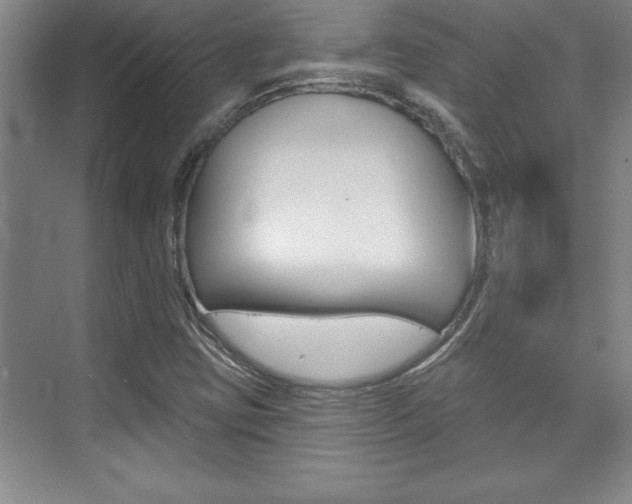 X0000073871403200608101055