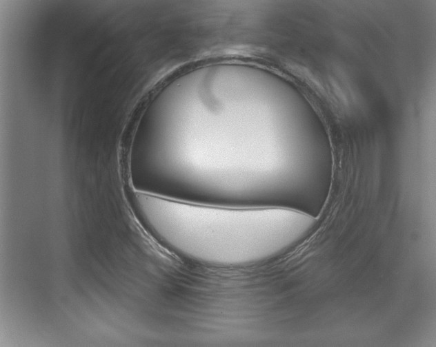 X0000073871404200608101055
