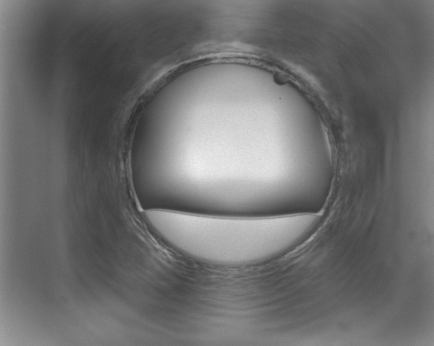 X0000073871407200608101055