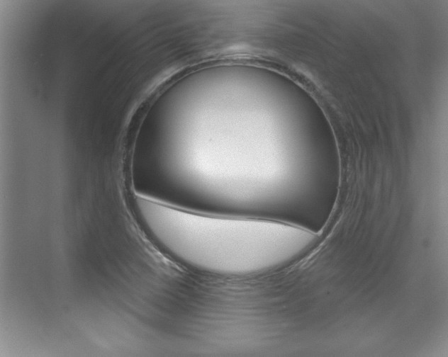 X0000073871410200608101055