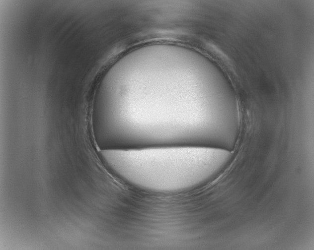 X0000073871411200608101055