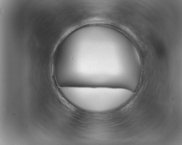 X0000073871413200608101055