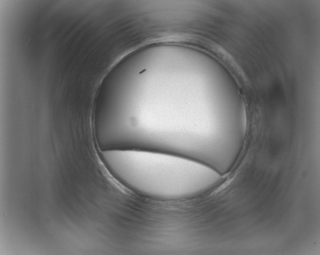 X0000073871417200608101055