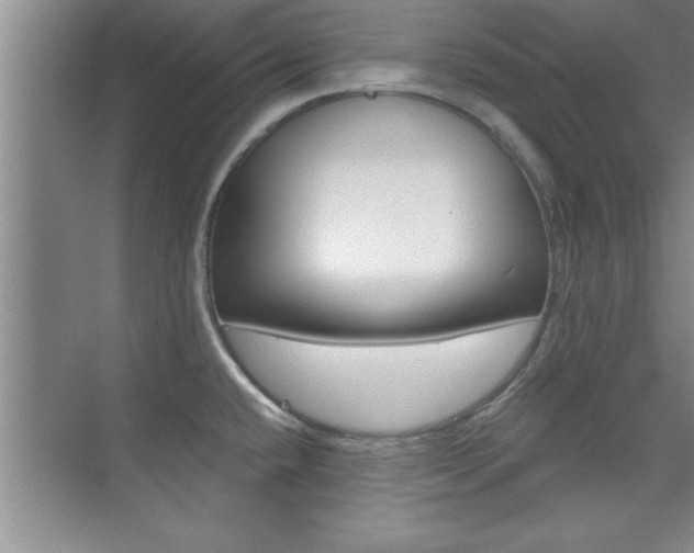 X0000073871432200608101055