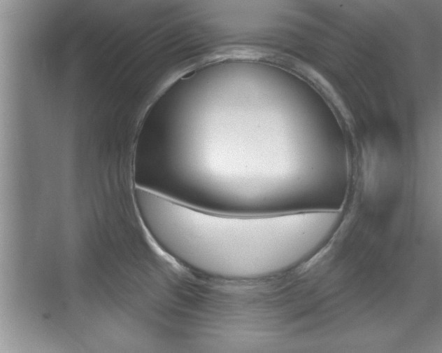 X0000073871433200608101055