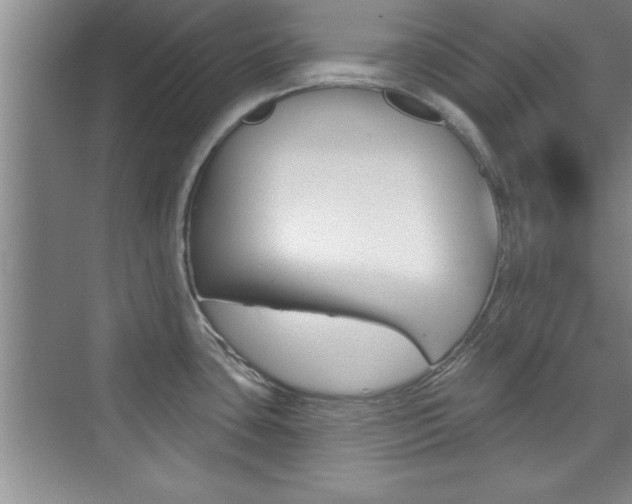 X0000073871435200608101055