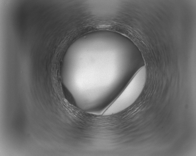 X0000073871441200608101054