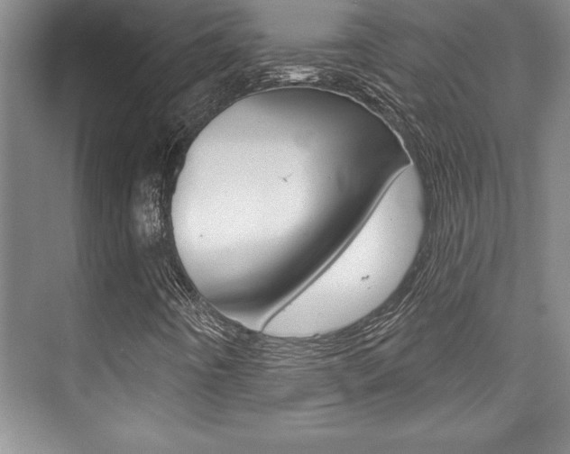 X0000073871442200608101054