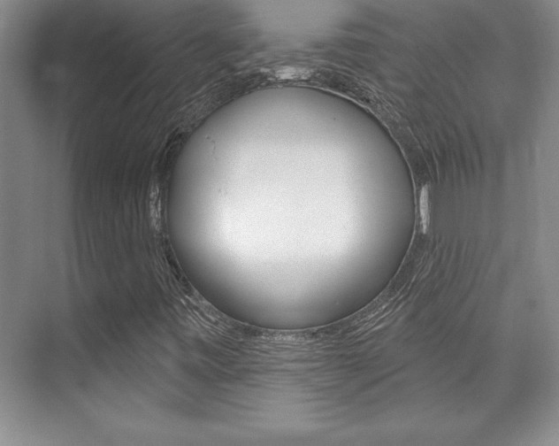 X0000073871443200608101054