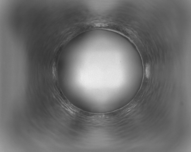 X0000073871444200608101054