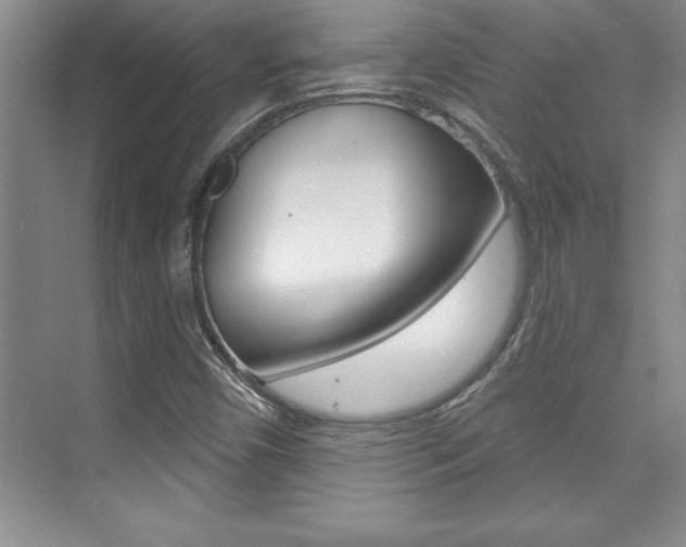 X0000073871450200608101054