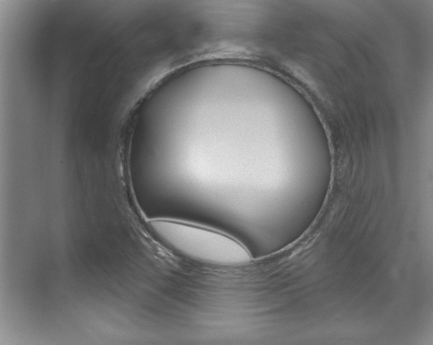 X0000073871455200608101054