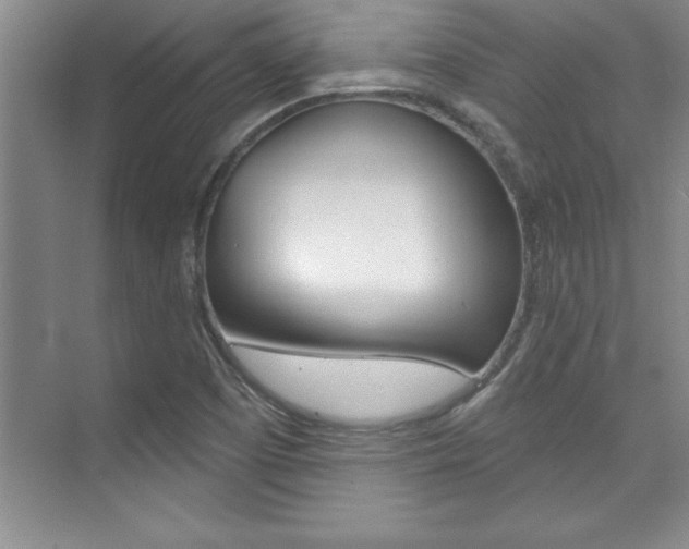 X0000073871457200608101054