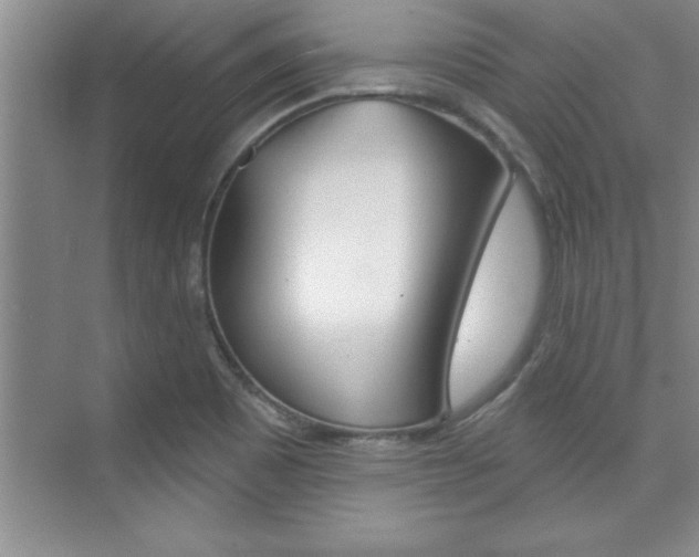 X0000073871465200608101054