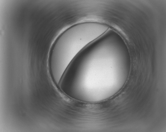 X0000073871469200608101054