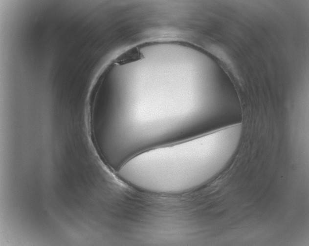 X0000073871472200608101054