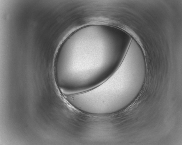 X0000073871488200608101054