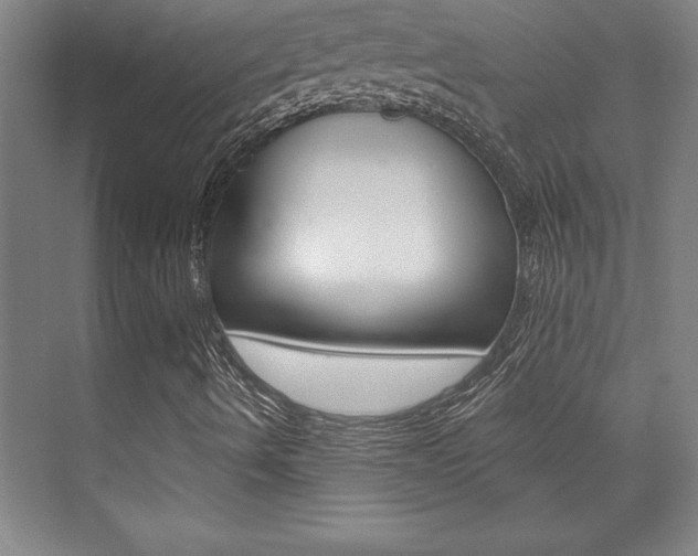 X0000073871490200608101053