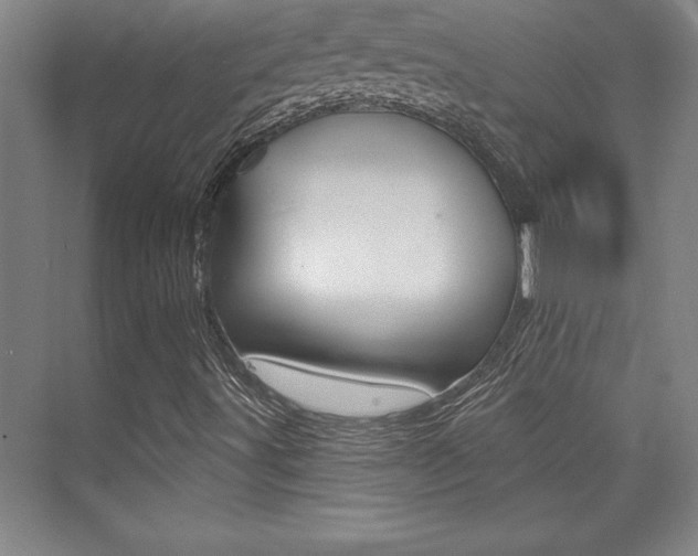 X0000073871491200608101053
