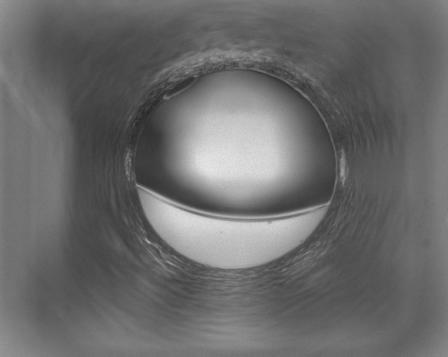 X0000073871492200608101053