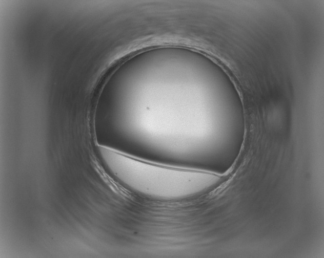 X0000073871499200608101053