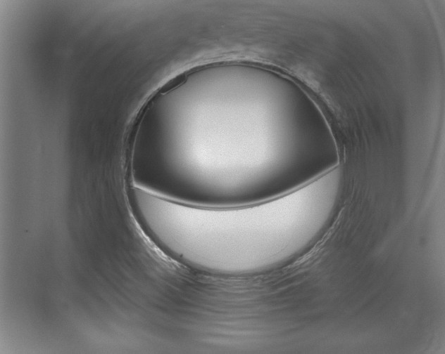 X0000073871500200608101053