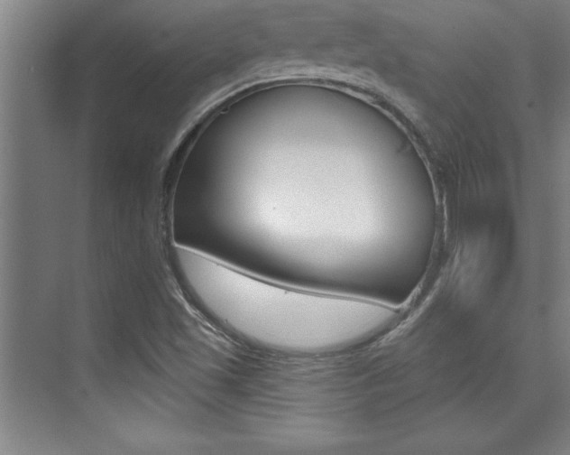 X0000073871501200608101053
