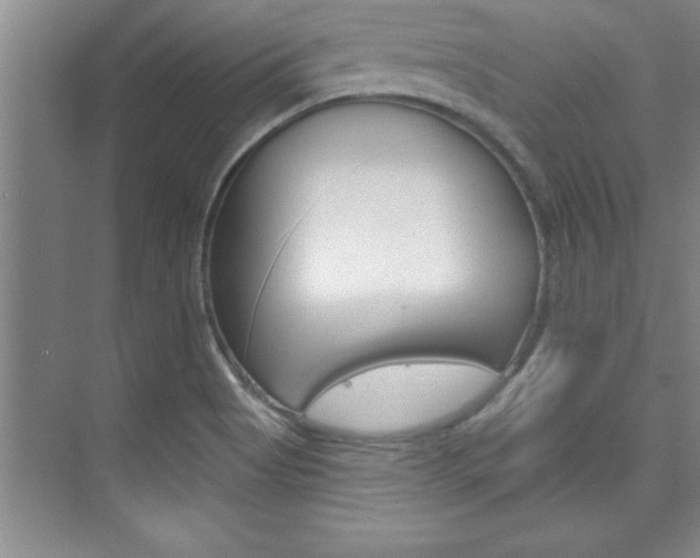 X0000073871513200608101053