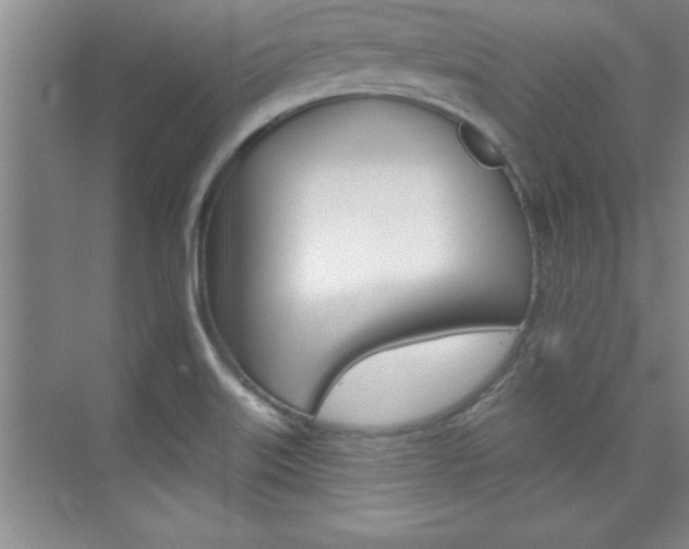 X0000073871515200608101053