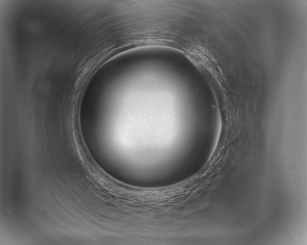 X0000073870001200608101522