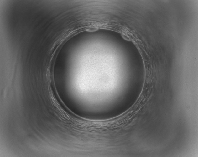 X0000073870002200608101522