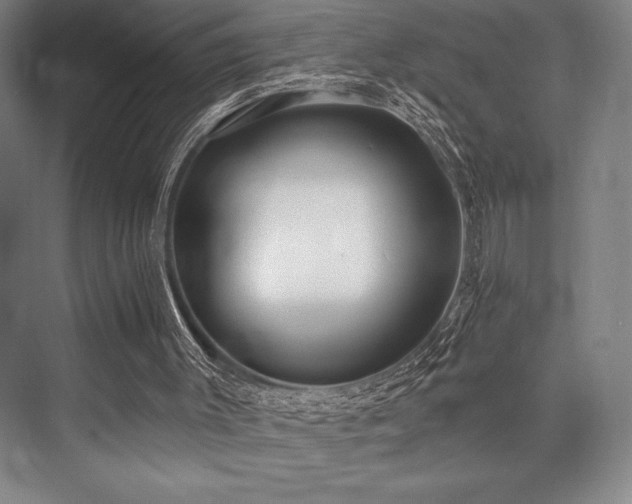 X0000073870003200608101522