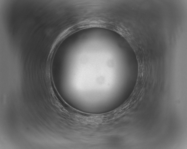 X0000073870004200608101522