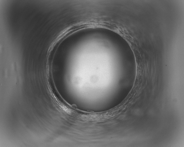 X0000073870005200608101522