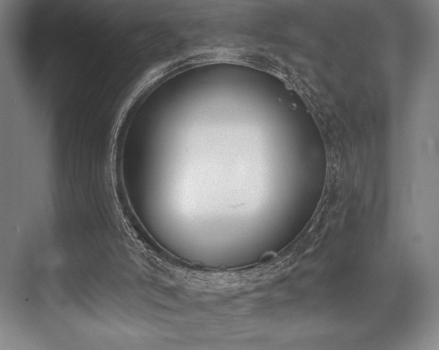 X0000073870006200608101522