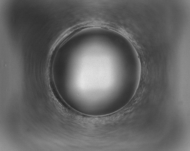 X0000073870007200608101522