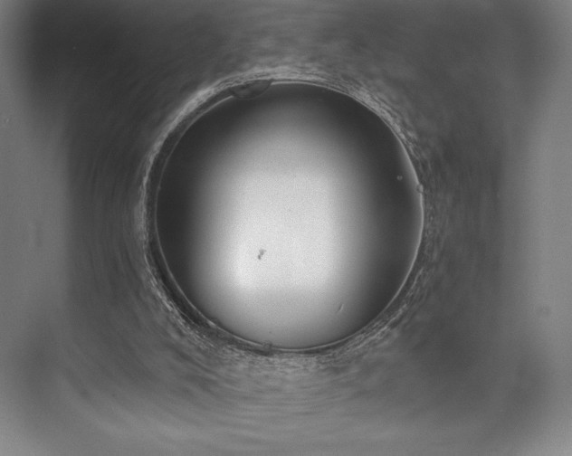 X0000073870008200608101522