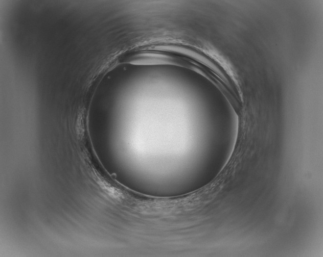 X0000073870009200608101522