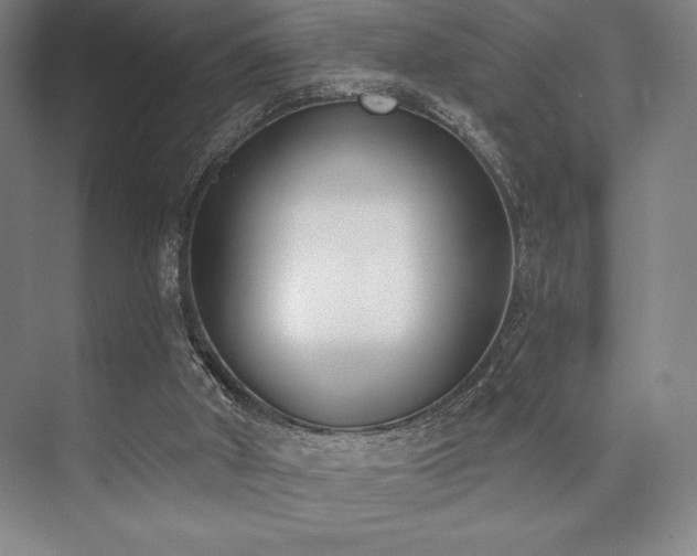 X0000073870010200608101521