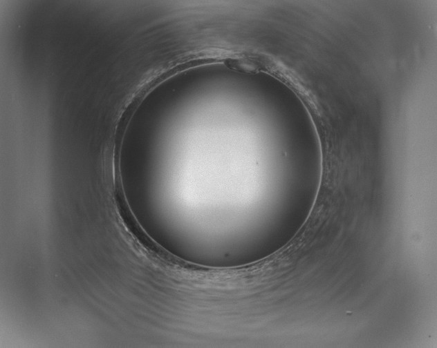 X0000073870011200608101521